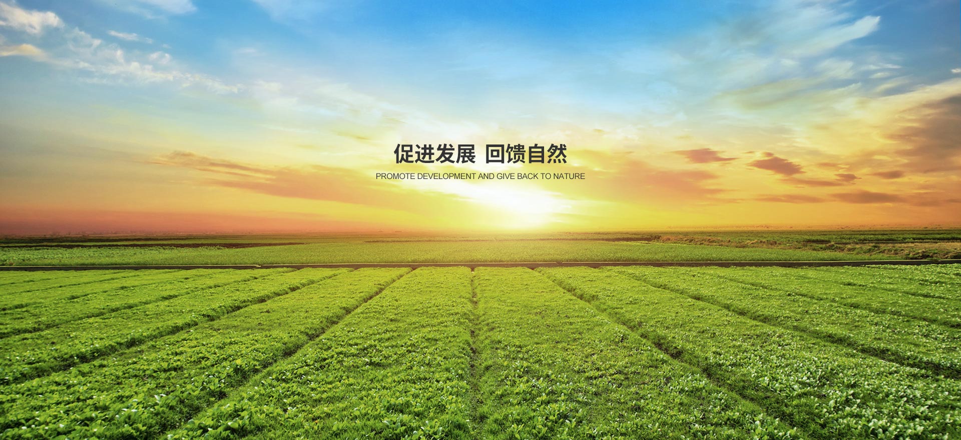 三元玖旗化肥