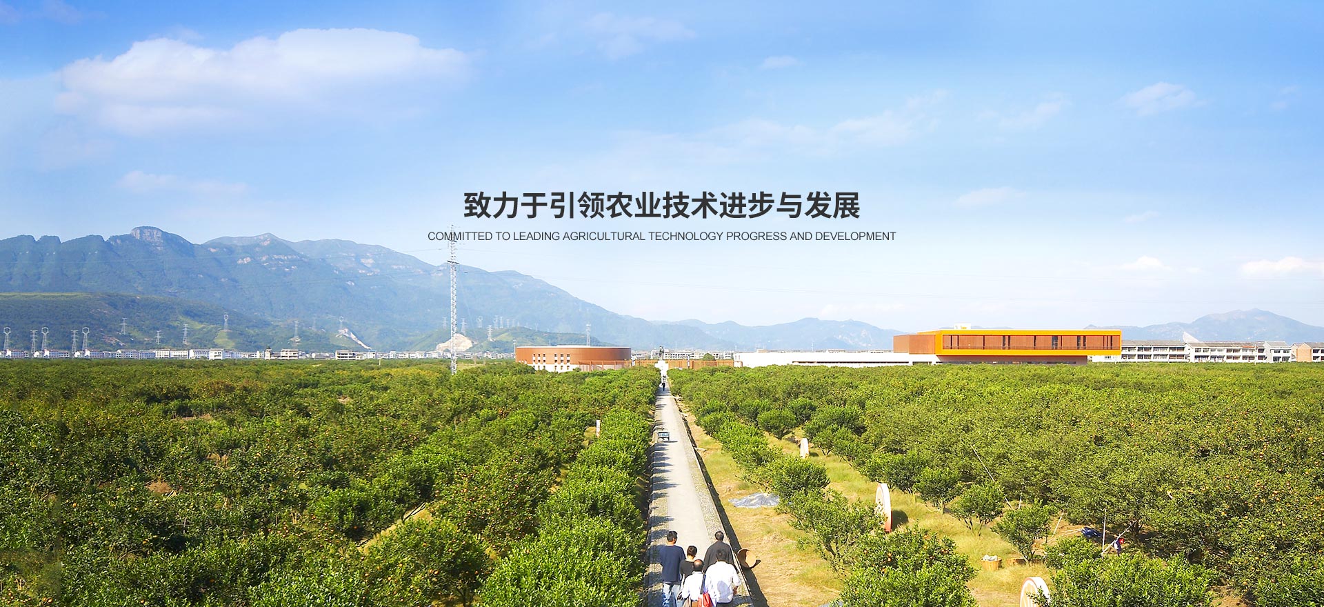 三元玖旗化肥