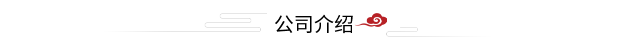 公司介绍